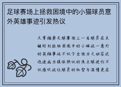 足球赛场上拯救困境中的小猫球员意外英雄事迹引发热议