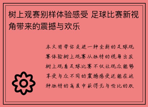 树上观赛别样体验感受 足球比赛新视角带来的震撼与欢乐