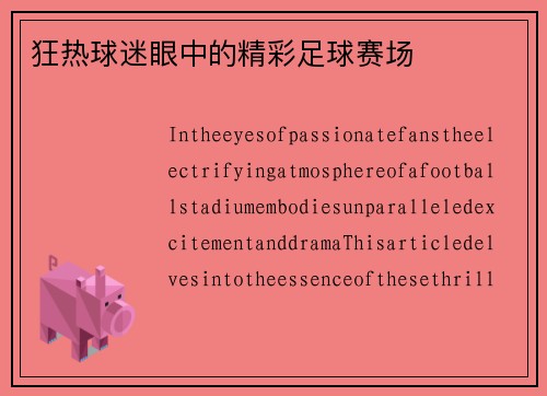 狂热球迷眼中的精彩足球赛场