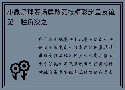 小象足球赛场勇敢竞技精彩纷呈友谊第一胜负次之