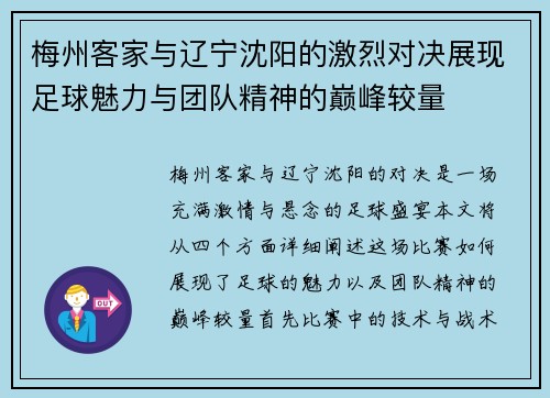 梅州客家与辽宁沈阳的激烈对决展现足球魅力与团队精神的巅峰较量