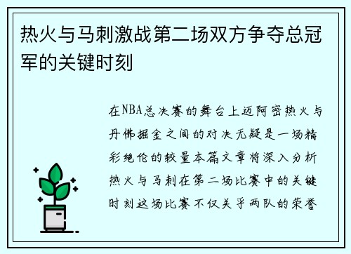 热火与马刺激战第二场双方争夺总冠军的关键时刻